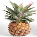 pineapple (Oops! image not found)